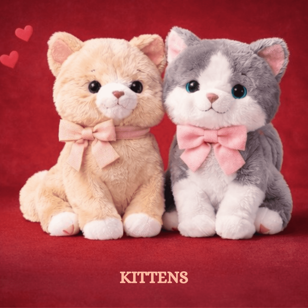 Kittens